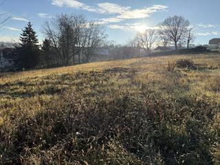 sonniger Baugrund mit Fernsicht  zu verkaufen Bild